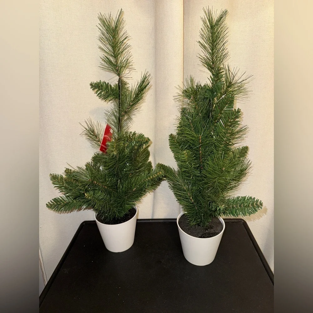 Christmas Two Potted Mini trees Wondershop